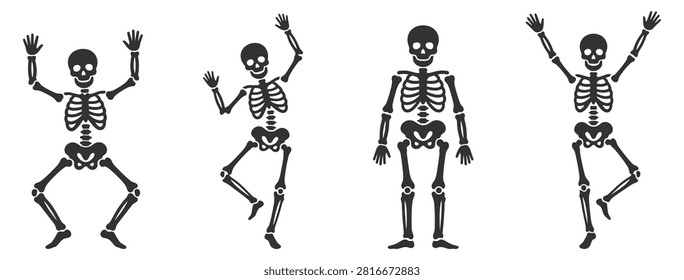 dancing human skeleton bones set illustration for medical and halloween on transparent background