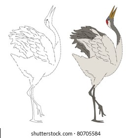 Dancing Japanese crane isolated on white