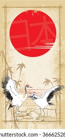 dancing Japanese crane in the sun