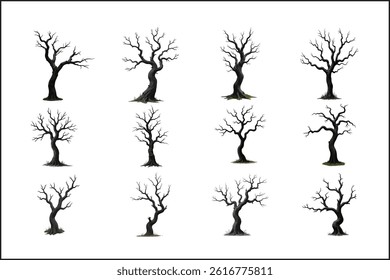 Dancing Limbs
Where Shadows Bloom
 The Spiraled Silence