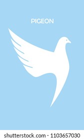 dancing pigeon, beautiful white dove on light  blue background.