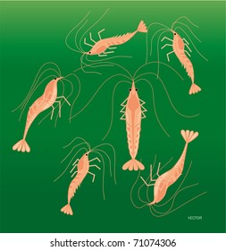 Dancing shrimp. Vector illustration