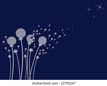 Dandelion