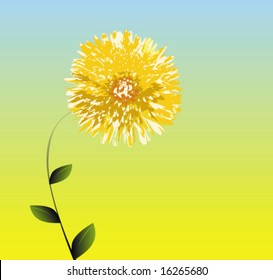 Dandelion