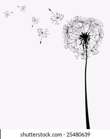 dandelion