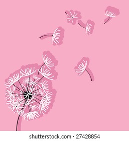 dandelion