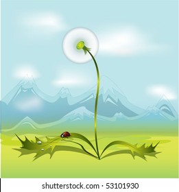 dandelion