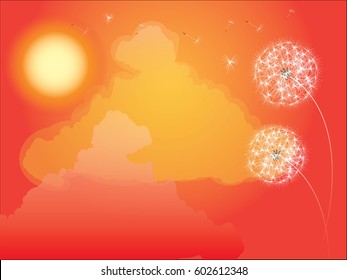 dandelion
