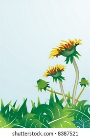 dandelion