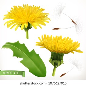 Dandelion, 3d vector icon set