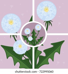 Dandelion abstract background Vector