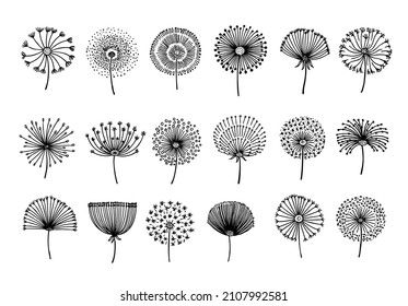 Dandelion. Abstract graphic dandelions, doodle vintage flower seeds. Botanical elements, hand drawn fluffy floral icons. Black blossom silhouettes neoteric vector