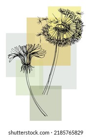 Dandelion Abstract Hand Painted Illustrations for Wall Decoration, Postcard, Social Media Banner, Brochure Cover Design Background. Modern Abstract Painting Artwork. Vector Pattern