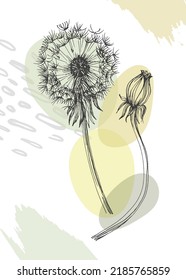 Dandelion Abstract Hand Painted Illustrations for Wall Decoration, Postcard, Social Media Banner, Brochure Cover Design Background. Modern Abstract Painting Artwork. Vector Pattern