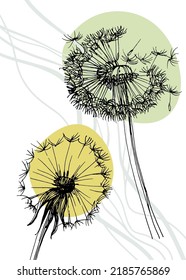 Dandelion Abstract Hand Painted Illustrations for Wall Decoration, Postcard, Social Media Banner, Brochure Cover Design Background. Modern Abstract Painting Artwork. Vector Pattern