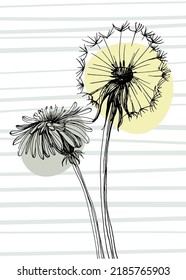 Ilustraciones pintadas a mano de Dandelion para la decoración de paredes, postal, banner de medios sociales, fondo de diseño de portada de folletos. Pintura Resumen Moderna. Patrón de vector