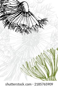 Dandelion Abstract Hand Painted Illustrations for Wall Decoration, Postcard, Social Media Banner, Brochure Cover Design Background. Modern Abstract Painting Artwork. Vector Pattern