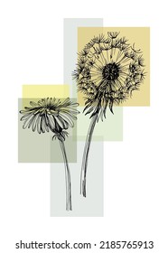 Dandelion Abstract Hand Painted Illustrations for Wall Decoration, Postcard, Social Media Banner, Brochure Cover Design Background. Modern Abstract Painting Artwork. Vector Pattern