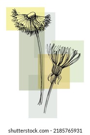 Dandelion Abstract Hand Painted Illustrations for Wall Decoration, Postcard, Social Media Banner, Brochure Cover Design Background. Modern Abstract Painting Artwork. Vector Pattern