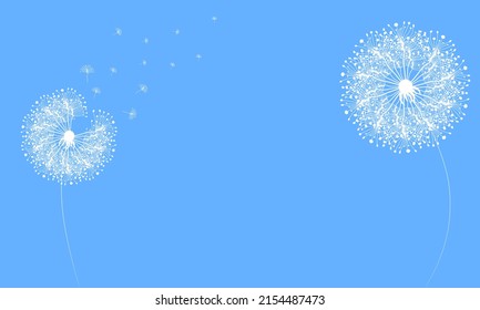 Dandelion abstract vector. Template for background, poster, wallpaper. Vector illustration.