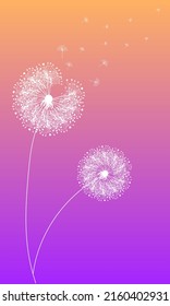 Dandelion abstract vector. Template for background, poster, wallpaper. Vector illustration.