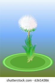 Dandelion, after bloom on a light blue background.