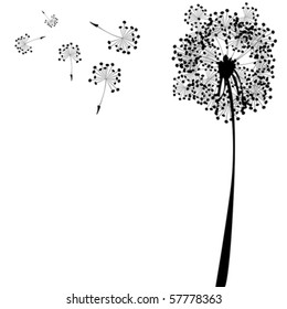 dandelion against white background, abstract vector art illustration