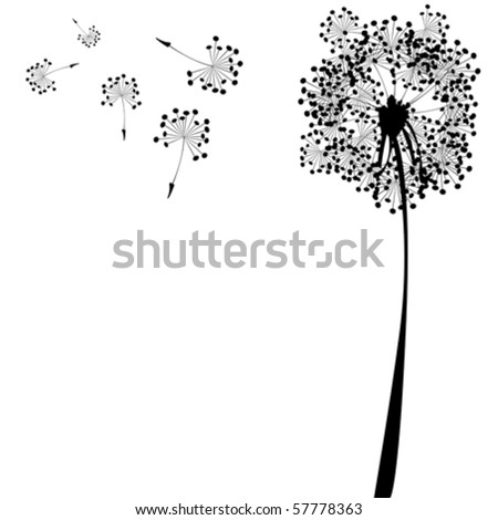 dandelion against white background, abstract vector art illustration