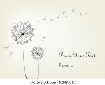 Dandelion Background