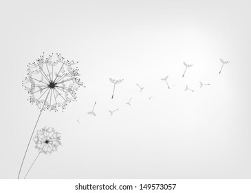 Dandelion background