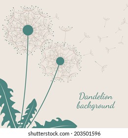 Dandelion background