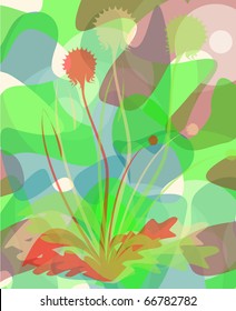 Dandelion  background