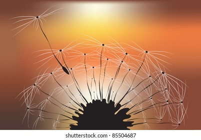 Dandelion Background Stock Vector (Royalty Free) 85504687 | Shutterstock