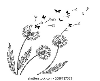 Dandelion background. Dandelions seeds flight, blow wind metaphor. Abstract flower and butterfly silhouettes. Relaxing art, freedom neoteric vector banner