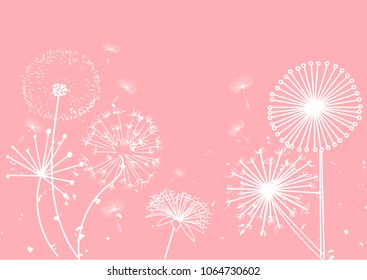 dandelion  background. delicate soft background. greeting card. vector meadow illustration. 