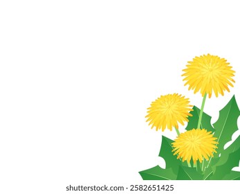 Dandelion background illustration with space