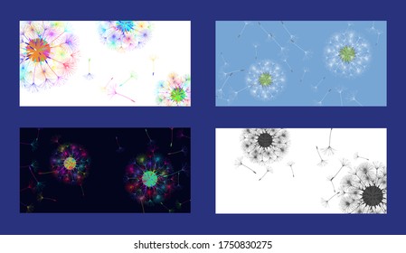 Dandelion background for your design. Set from different four backgrounds. The wind blows dandelion seeds. Natural background. Brochure creative design. Vector template.