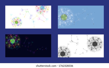 Antecedentes de Dandelion para tu diseño. Se establece en cuatro orígenes diferentes. El viento sopla semillas de león. Fondo natural. Diseño creativo de folleto. Plantilla de vectores.
