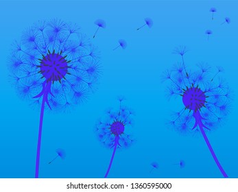 Dandelion background for your design. The wind blows dandelion seeds. Template for posters, wallpapers, cards. Vector illustration.