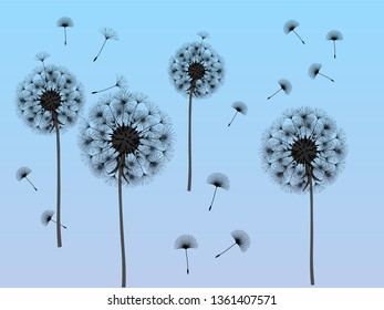 Dandelion background for your design. The wind blows dandelion seeds. Template for posters, wallpapers, cards. Vector illustration.