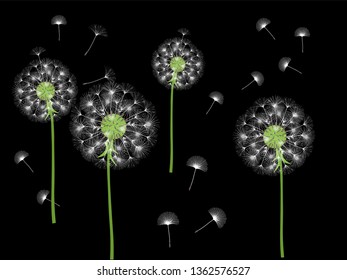 Dandelion background for your design. The wind blows dandelion seeds. Template for posters, wallpapers, cards. Vector illustration.