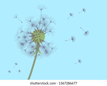 Dandelion background for your design. The wind blows dandelion seeds. Template for posters, wallpapers, cards. Vector illustration.