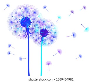 Dandelion background for your design. The wind blows dandelion seeds. Template for posters, wallpapers, cards. Vector illustration.