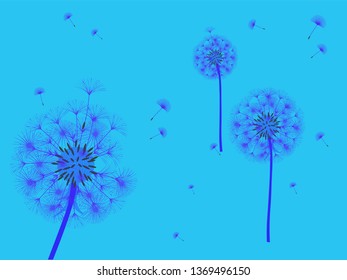 Dandelion background for your design. The wind blows dandelion seeds. Template for posters, wallpapers, cards. Vector illustration.