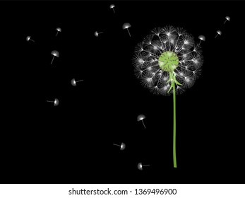 Dandelion background for your design. The wind blows dandelion seeds. Template for posters, wallpapers, cards. Vector illustration.
