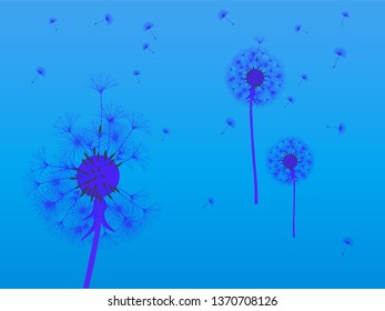 Dandelion background for your design. The wind blows dandelion seeds. Template for posters, wallpapers, cards. Vector illustration.