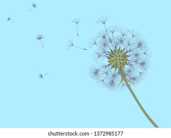Dandelion background for your design. The wind blows dandelion seeds. Template for posters, wallpapers, cards. Vector illustration.