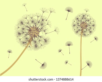 Dandelion background for your design. The wind blows dandelion seeds. Template for posters, wallpapers, cards. Vector illustration.