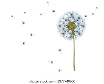 Dandelion background for your design. The wind blows dandelion seeds. Template for posters, wallpapers, cards. Vector illustration.