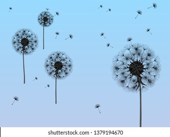 Dandelion background for your design. The wind blows dandelion seeds. Template for posters, wallpapers, cards. Vector illustration.